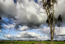 欧洲世预赛欧洲首轮,凯恩和莱万均有进球。.