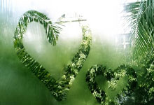 九游官网:亚足联展望中澳之战:国足虽然垫底,但仍有希望冲击前二直接出线.