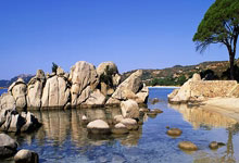 九游官网:是否会辞职?莫塔:这太简单了,而我不喜欢简单的事情.